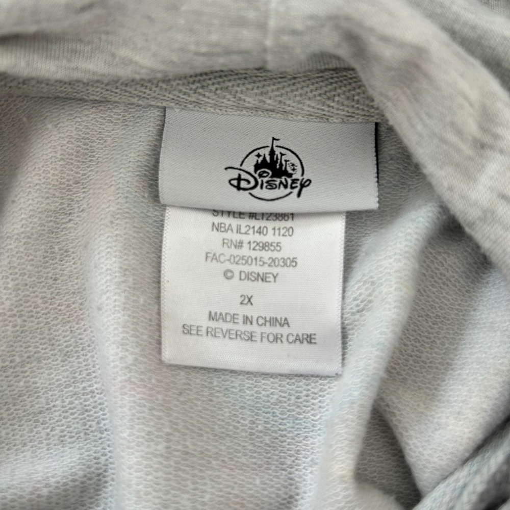 Disneyland 2XL Multicolor Hoodie